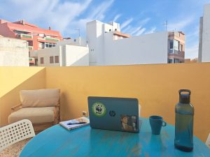 Working Terrace Daydream